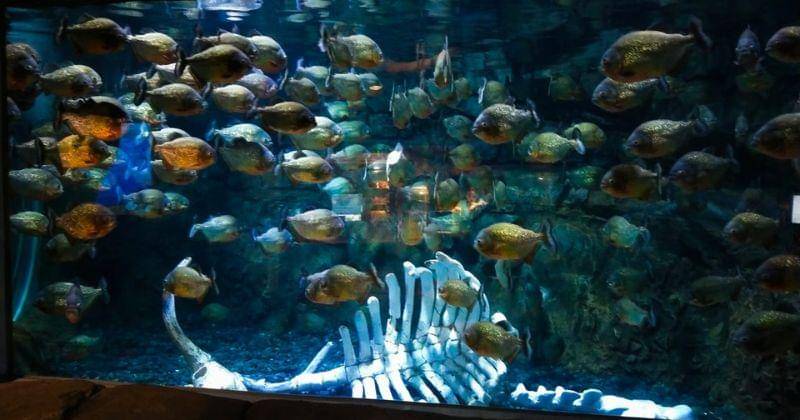 Popmama.com/Cindini Febriani